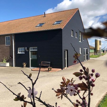Appartement De Graanzolder Aan Zeeuwse Kust Hoofdplaat Kültér fotó