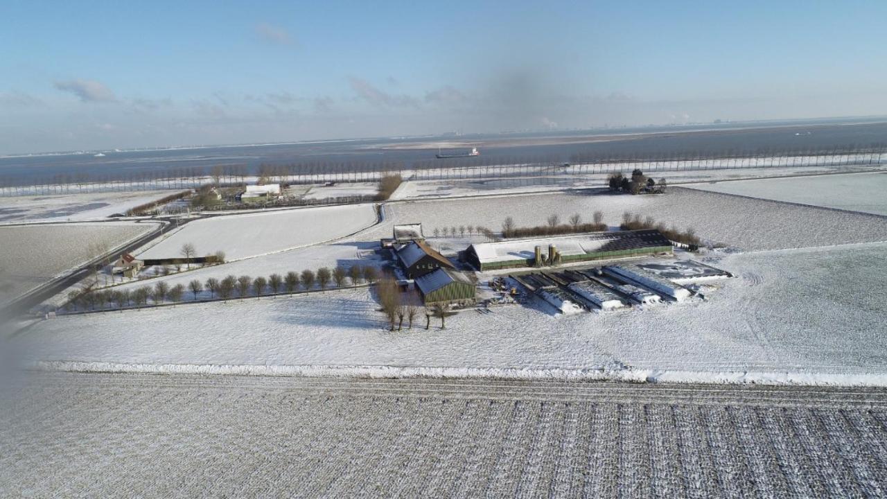 Appartement De Graanzolder Aan Zeeuwse Kust Hoofdplaat Kültér fotó