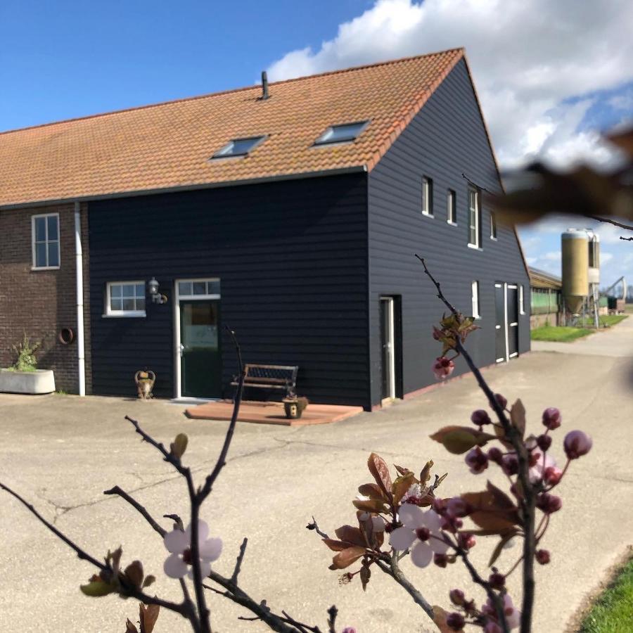 Appartement De Graanzolder Aan Zeeuwse Kust Hoofdplaat Kültér fotó