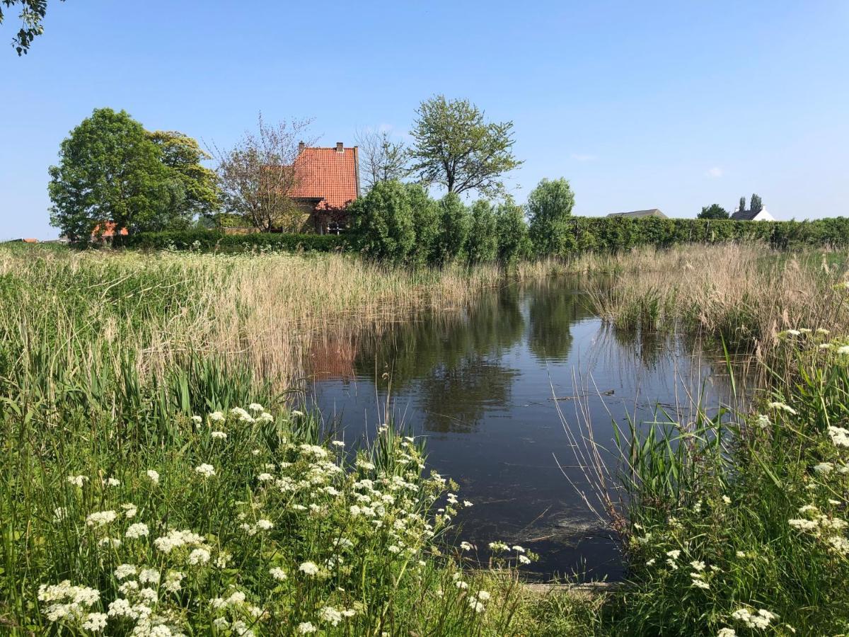 Appartement De Graanzolder Aan Zeeuwse Kust Hoofdplaat Kültér fotó