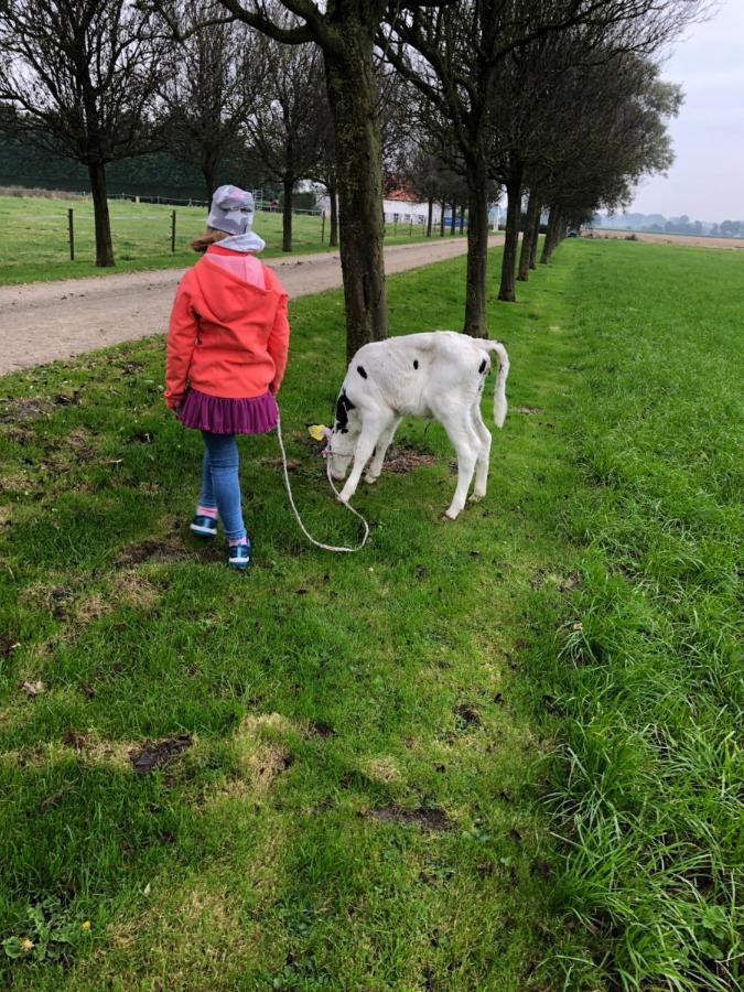 Appartement De Graanzolder Aan Zeeuwse Kust Hoofdplaat Kültér fotó