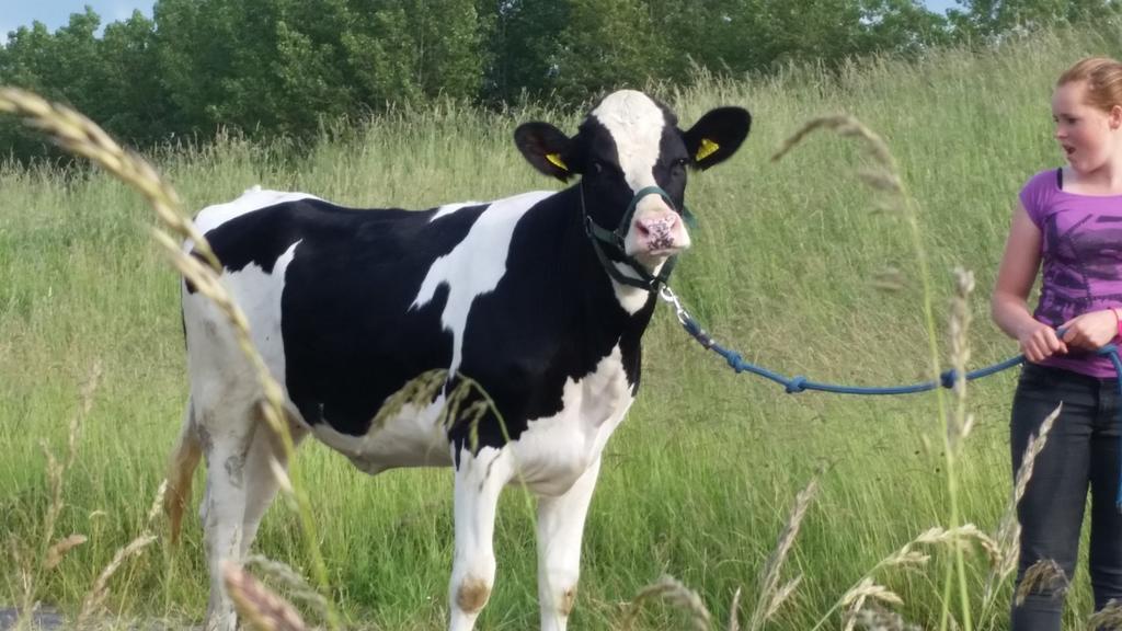 Appartement De Graanzolder Aan Zeeuwse Kust Hoofdplaat Kültér fotó
